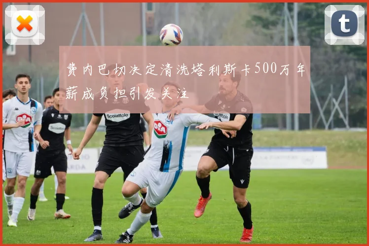 费内巴切决定清洗塔利斯卡500万年薪成负担引发关注