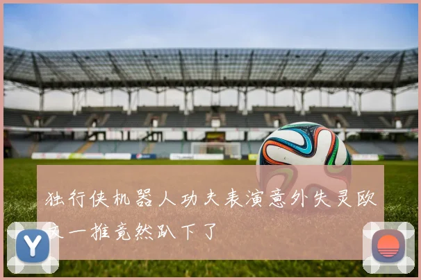 独行侠机器人功夫表演意外失灵欧文一推竟然趴下了